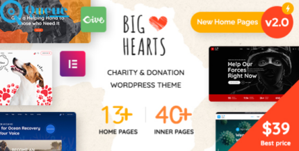 BigHearts - Charity & Donation WordPress Theme